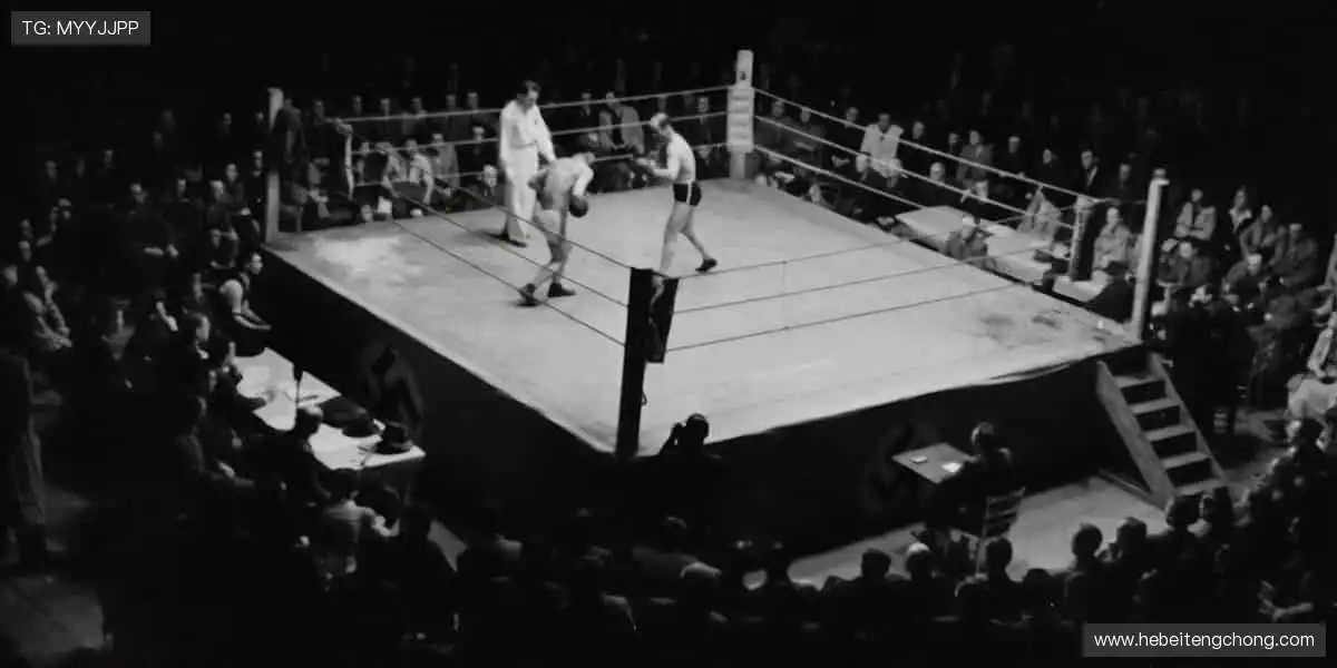 🔥 点燃赛场,激情永不退场!